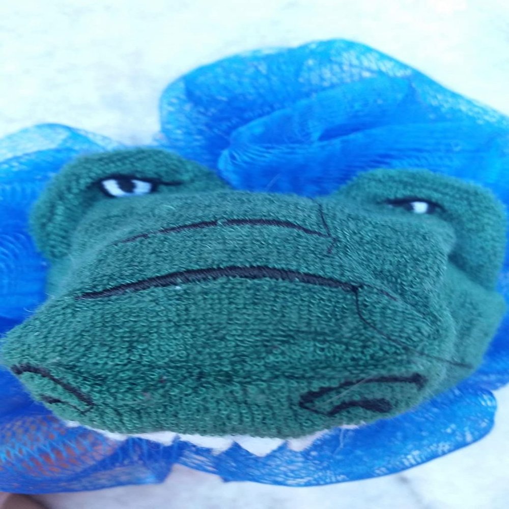 HOST PICK! Florida Gators Blue Loofah Sponge New